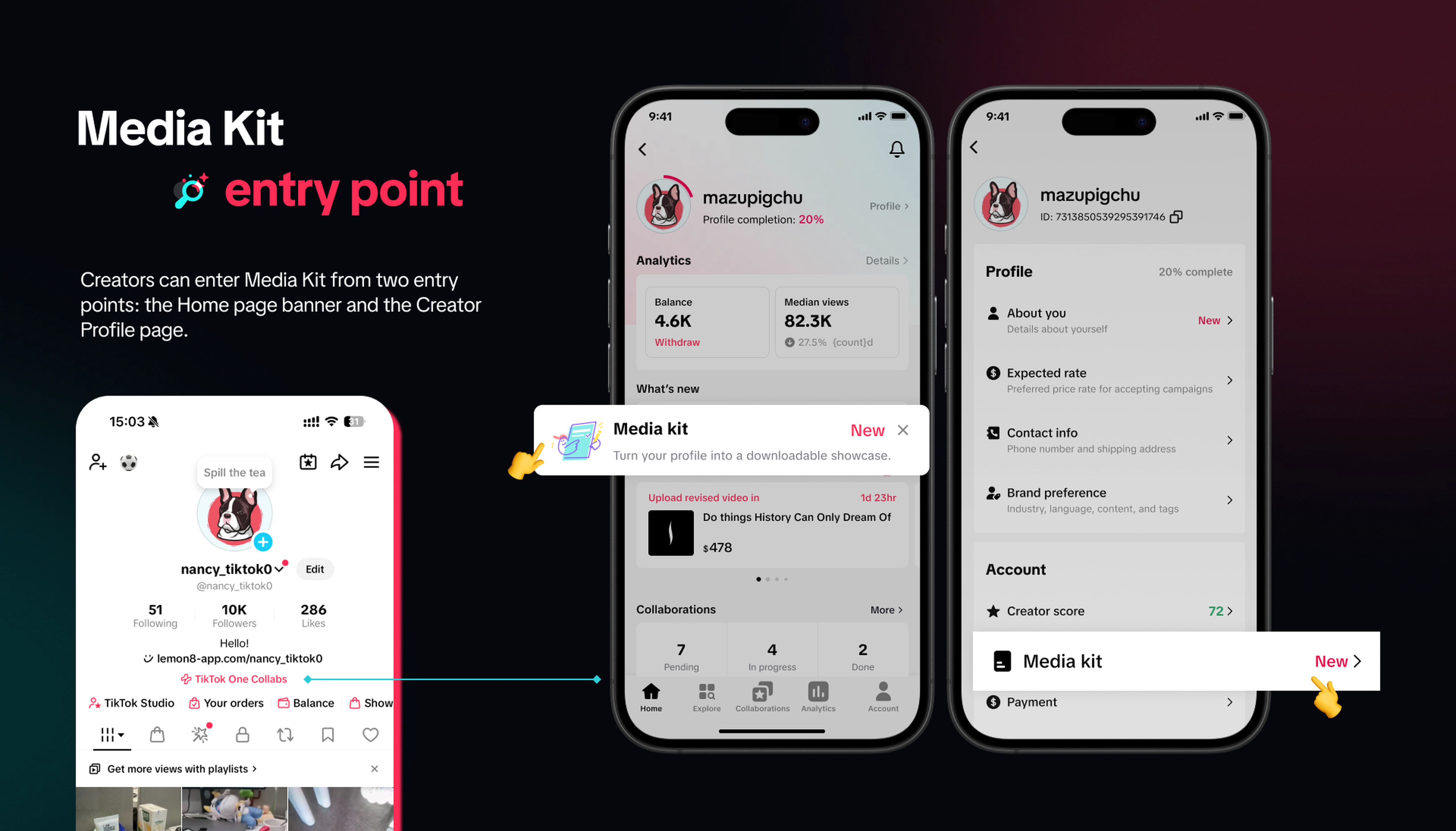 Media Kit entry point section